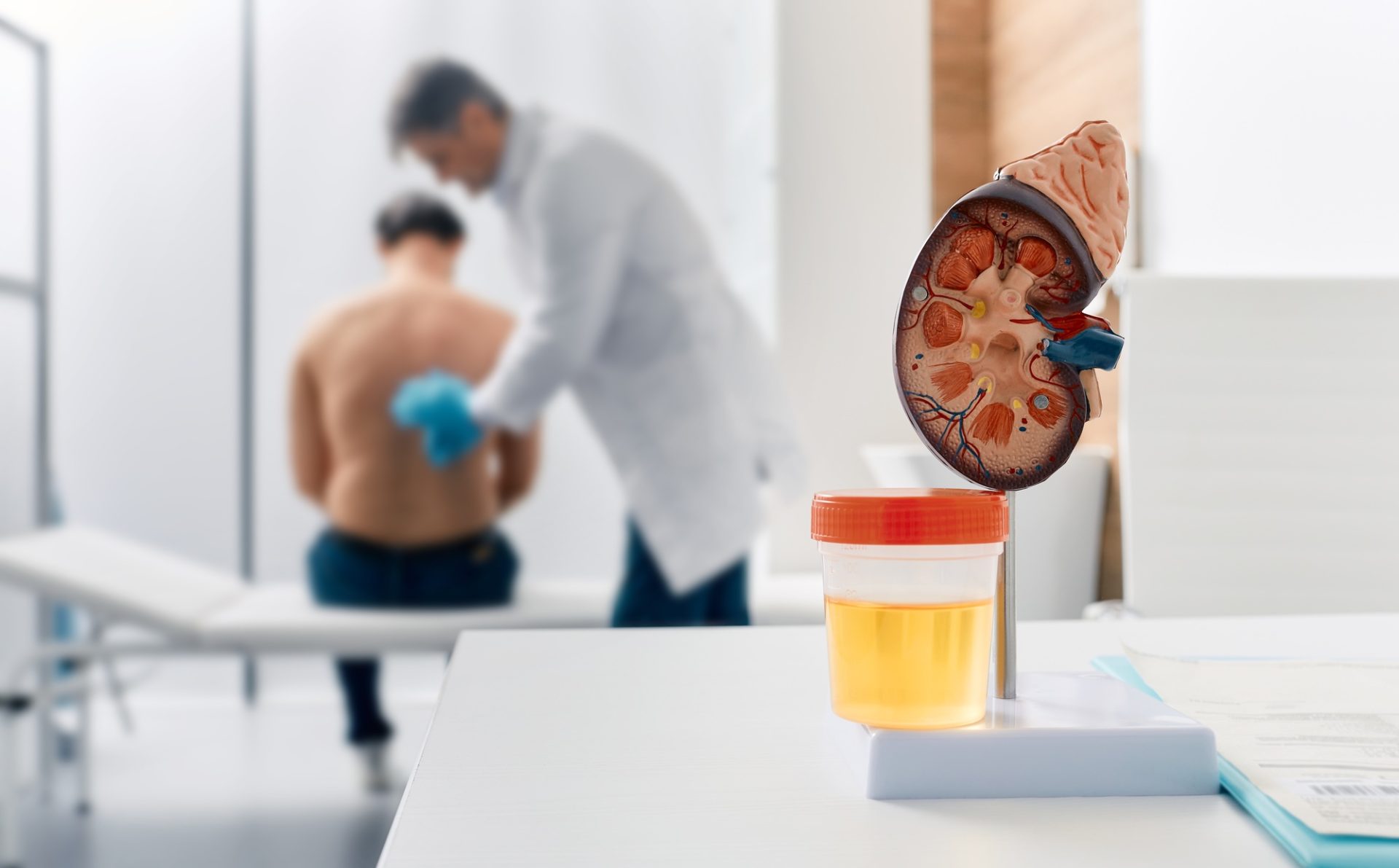 Urology and treatment of kidney disease. Doctor doing kidney exam for male patient with kidney